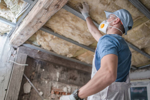 Best Geographic-Specific Insulation Services in New Boston, TX