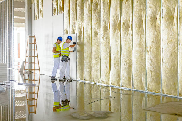 Best Residential Insulation in New Boston, TX